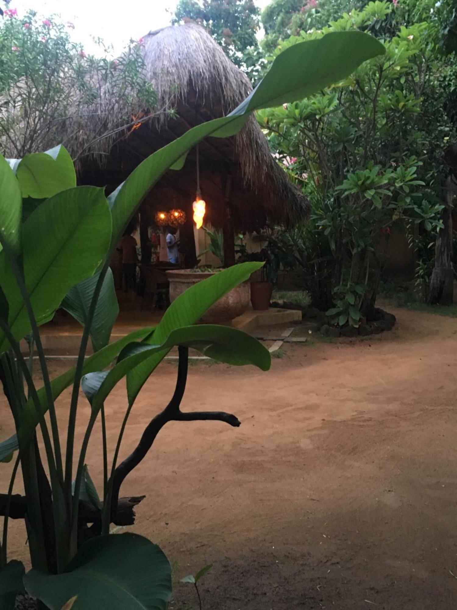 Surf N Sun - Arugam Bay Hotell Exteriör bild
